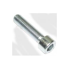 BULLONERIA-Distanzia-Rondelle-Anelli Seeger-Fascette.-Vite M10x45mm Zincata Testa Brugola per Moto Guzzi Vari Modelli