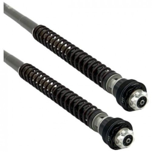 AMMORTIZZATORI - FORCELLE-KIT FORCELLA PER MOTO GUZZI GRISO 850 06/11 - F20K