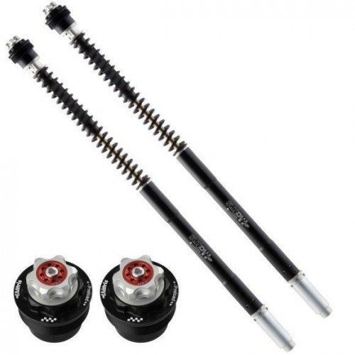 AMMORTIZZATORI - FORCELLE-KIT FORCELLA PER MOTO GUZZI STELVIO 1200 8V & NTX 08/17 - F25R-X