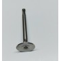 DISTRIBUZIONE-CATENA-VALVOLE-GUIDE-PARAOLI VALVOLE-Valvola Aspirazione per Moto Guzzi Airone 250 Teste Coperte BM118