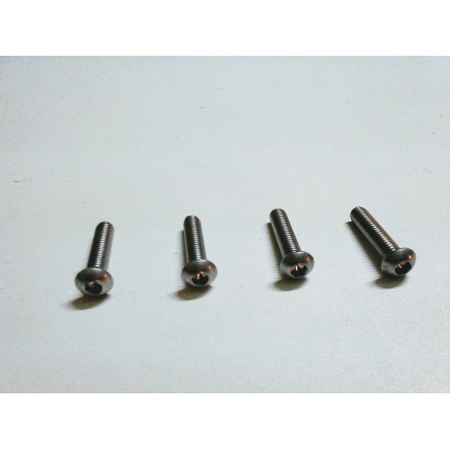 BULLONERIA-Distanzia-Rondelle-Anelli Seeger-Fascette.-Kit 4 Viti acciaio inox Testa Tonda per attacco pompa freno e gruppo fr...