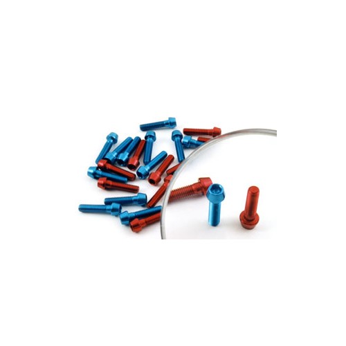 BULLONERIA-Distanzia-Rondelle-Anelli Seeger-Fascette.-Kit viti in ergal: 4 viti rosse per coperchio alternatore per Moto Guzz...