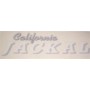 DECALCOMANIE - ADESIVI-Decalcomania copriaccumulatore bianco-grigio per Moto Guzzi California 1100 Jackal