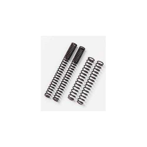 RICAMBI FORCELLA-Kit molle forcella lineari progressivi per Moto Guzzi 1000 Le Mans, California 1100 IE e carburatori