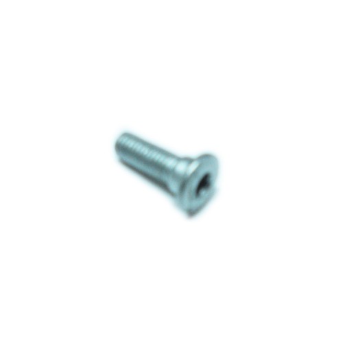 DISCHI FRENO-Vite Fissaggio Disco Freno per Moto Guzzi Nevada 350/750, California 1100, 1100/1200 Sport, Breva, Norge, Stelvi...