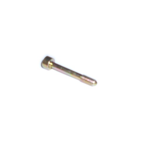 ELETTRICO VARIO-Vite fissaggio ruttore per Moto Guzzi V35/65 C, 850 T3, 1000 SP, California 1000 II