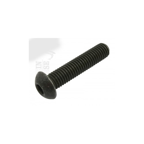 BULLONERIA-Distanzia-Rondelle-Anelli Seeger-Fascette.-Vite supporto valige M10x45 per Moto Guzzi California 1100 '94/97, Neva...