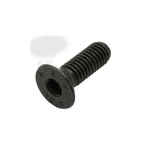 BULLONERIA-Distanzia-Rondelle-Anelli Seeger-Fascette.-Vite M6x16 testa cilindro per Moto Guzzi V35/50 Polizia, V65 Lario, 100...