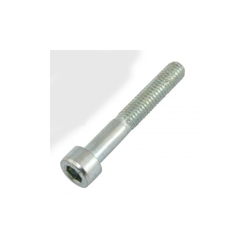 BULLONERIA-Distanzia-Rondelle-Anelli Seeger-Fascette.-Vite M6x40 testa cilindro per Moto Guzzi