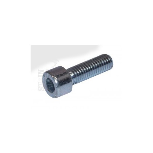 BULLONERIA-Distanzia-Rondelle-Anelli Seeger-Fascette.-Vite TCE M8X20 Zingato Inox testa cilindro Disco Freno Post. Nevada per...