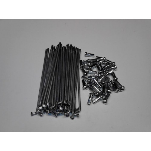 CERCHI-Raggi-Mozzi-PERNI RUOTA-Kit 36 Raggi e Nipplo Ruota Anteriore per Moto Guzzi V35 V65 FLORIDA ,NEVADA 350 750 Fino 2003